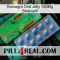 Kamagra Oral Jelly 100Mg Sildenafil new03